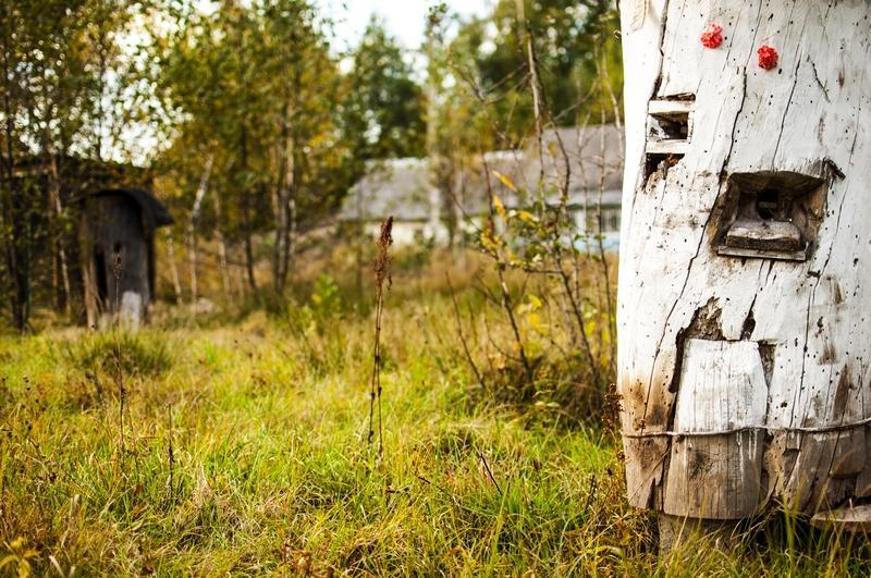 Отель Дальний кордон Moshchanytsya Экстерьер фото